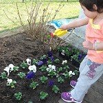 Gardening with your children