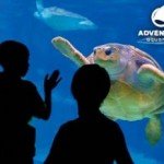 Deal: $15 Fun Days at Adventure Aquarium 